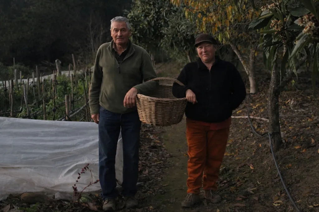 Proyecto Las venteras de tortillas de González Bastías